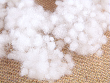 Ball Fiber